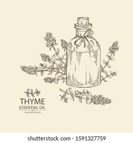 Background with leaves and flowers of thyme and bottle of thyme essential oil. Cosmetic, perfumery and medical plant. Vector hand drawn illustration.