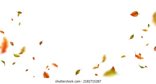 background of leaves fluttering in the wind vector illustration