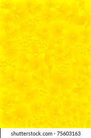 Background of leaves and fruit of grapes
