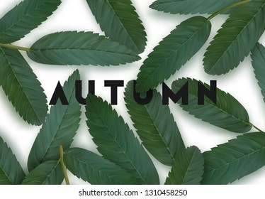 Background with leaves green color. Fall Foliage. vector illustration