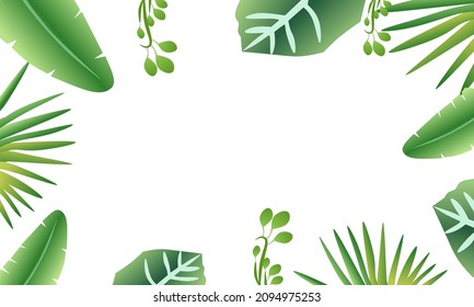 the background of the leaves, the green leaf stalks are beautifully arranged.