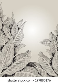 Background with leaves. Hand drawn graphic illustration.