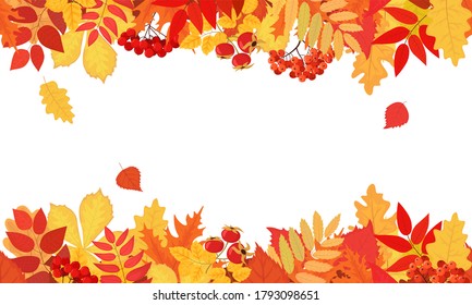 Background with leaves of maple, chestnut, oak and berries in the fall. Hello autumn seamless banner with orange and red leaves. Vector illustration with seasonal foliage decorations and copy space