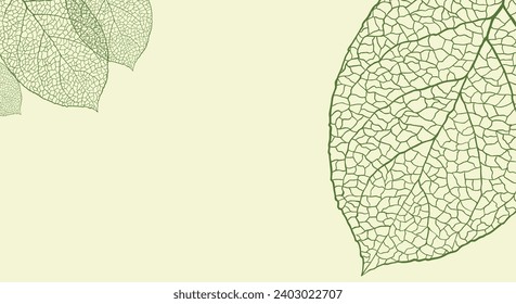 background and leaves of a maple. Vector for social media stories and post, invitation, greeting card, packaging, branding design,banner,presentation,poster,advertising