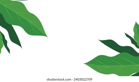 background and leaves of a maple. Vector for social media stories and post, invitation, greeting card, packaging, branding design,banner,presentation,poster,advertising