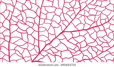 background and leaves of a maple. Vector for social media stories and post, invitation, greeting card, packaging, branding design,banner,presentation,poster,advertising