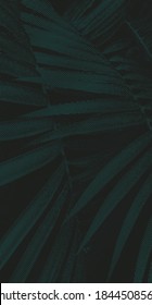 background with leaves and plants made out of wavy lines
