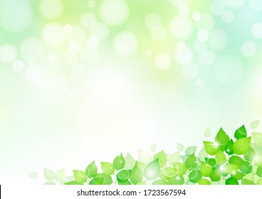 Background of leaves shining through sunbeams