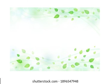 Background of leaves shining through sunbeams