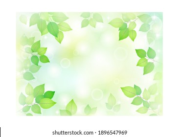 Background of leaves shining through sunbeams
