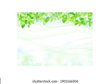 Background of leaves shining through sunbeams