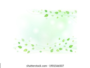 Background of leaves shining through sunbeams