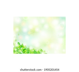 Background of leaves shining through sunbeams