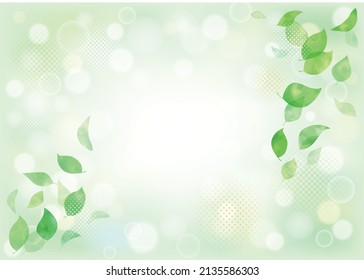 Background of leaves shining through sunbeams