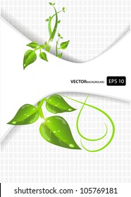 background with leaves and soft light in modern style