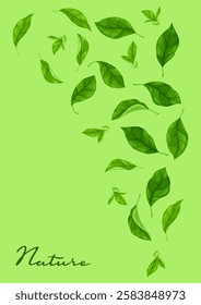 Background with leaves. Spring or summer stylized foliage.