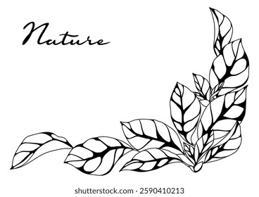 Background with leaves. Spring or summer stylized foliage.