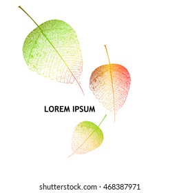 background leaves. Vector