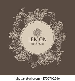 Background with lemon: fruts, lemon flower and lemon slice. Vector hand drawn illustration