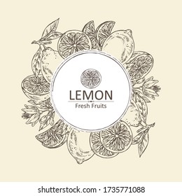Background with lemon: fruts, lemon flower and lemon slice. Vector hand drawn illustration
