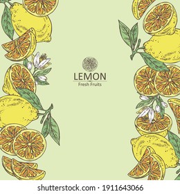 Background with lemon: fruts, lemon flower and lemon slice. Vector hand drawn illustration