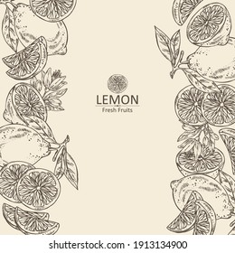 Background With Lemon: Fruts, Lemon Flower And Lemon Slice. Vector Hand Drawn Illustration