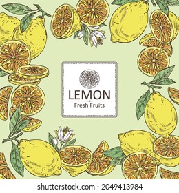 Background with lemon: fruts, lemon flower and lemon slice. Vector hand drawn illustration