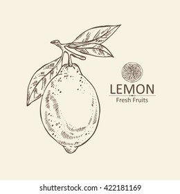 Background with lemon . hand drawn