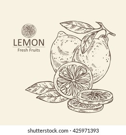 Background with lemon. hand drawn