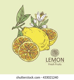 Background with lemon . hand drawn