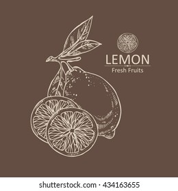 Background with lemon. hand drawn