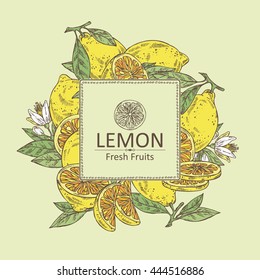 Background with lemon. hand drawn
