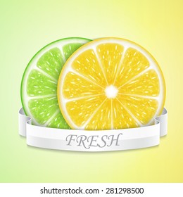 Background with lemon and lime slices. High quality vector. EPS10 vector
