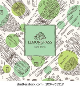 Background with lemongrass: bunch, plant and dry lemongrass. Vector hand drawn illustration.