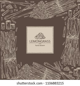 Background with lemongrass: bunch, plant and dry lemongrass. Vector hand drawn illustration.
