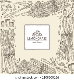 Background with lemongrass: bunch, plant and dry lemongrass. Vector hand drawn illustration.