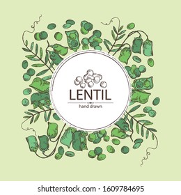 Background with lentil: leaf, plant, pod and seed of lentil. Vector hand drawn illustration