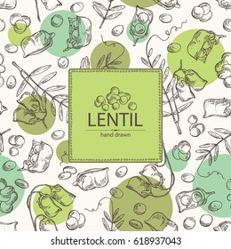Background with lentil: leaf, plant, pod and seed of lentil. hand drawn.