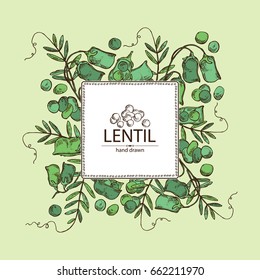 Background with lentil: leaf, plant, pod and seed of lentil. Vector hand drawn illustration.