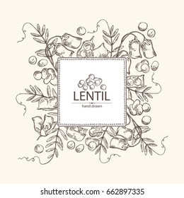 Background with lentil: leaf, plant, pod and seed of lentil. Vector hand drawn illustration