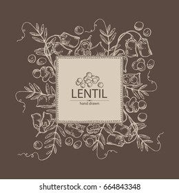 Background with lentil: leaf, plant, pod and seed of lentil. Vector hand drawn illustration