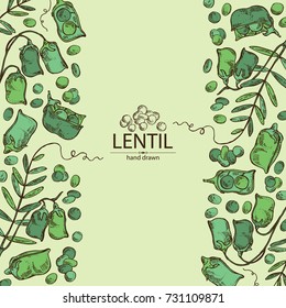 Background with lentil: leaf, plant, pod and seed of lentil. Vector hand drawn illustration.
