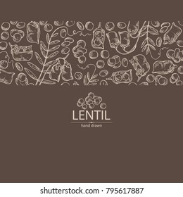 Background with lentil: leaf, plant, pod and seed of lentil. Vector hand drawn illustration