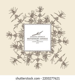 Background with  leonurus japonicus: motherwort Japanese plant, leaves and leonurus japonicus flowers. motherwort Japanese. Cosmetic, perfumery and medical plant. Vector hand drawn 