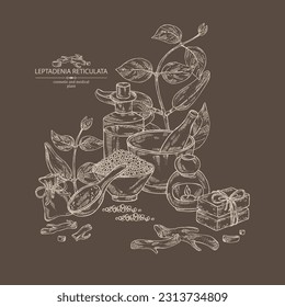 Background with  leptadenia reticulata: plant, fruits and leptadenia reticulata roots. Oil, soap and bath salt . Cosmetics and medical plant. Vector hand drawn illustration