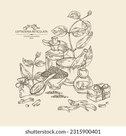 Background with  leptadenia reticulata: plant, fruits and leptadenia reticulata roots. Oil, soap and bath salt . Cosmetics and medical plant. Vector hand drawn illustration