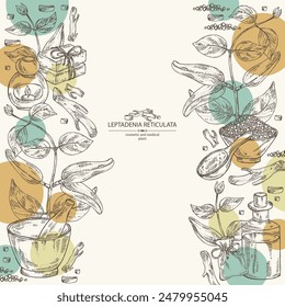Background with  leptadenia reticulata: plant, fruits and leptadenia reticulata roots. Oil, soap and bath salt . Cosmetics and medical plant. Vector hand drawn illustration