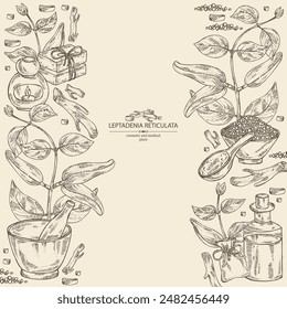 Background with  leptadenia reticulata: plant, fruits and leptadenia reticulata roots. Oil, soap and bath salt . Cosmetics and medical plant. Vector hand drawn illustration