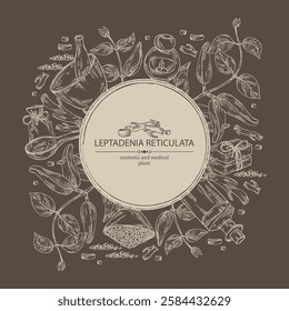 Background with  leptadenia reticulata: plant, fruits and leptadenia reticulata roots. Oil, soap and bath salt . Cosmetics and medical plant. Vector hand drawn illustration