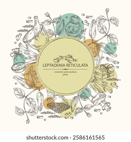 Background with  leptadenia reticulata: plant, fruits and leptadenia reticulata roots. Oil, soap and bath salt . Cosmetics and medical plant. Vector hand drawn illustration